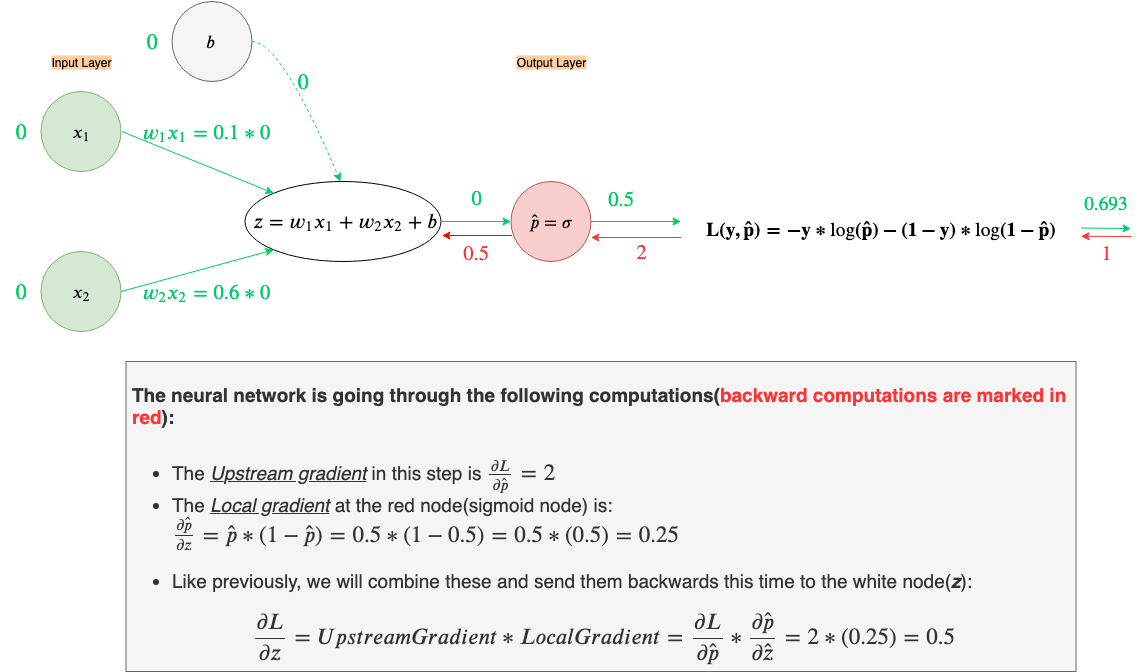 Fig 19.b. Backpropagation on the 1ˢᵗ example