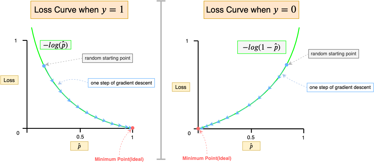 Fig 21. Visualizing Gradient Descent on Binary Cross-Entropy Loss function