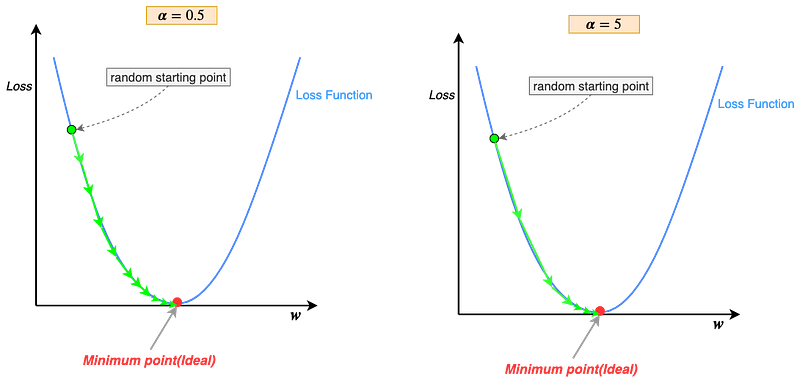 Fig 30. Visualizing the effect of learning rate.